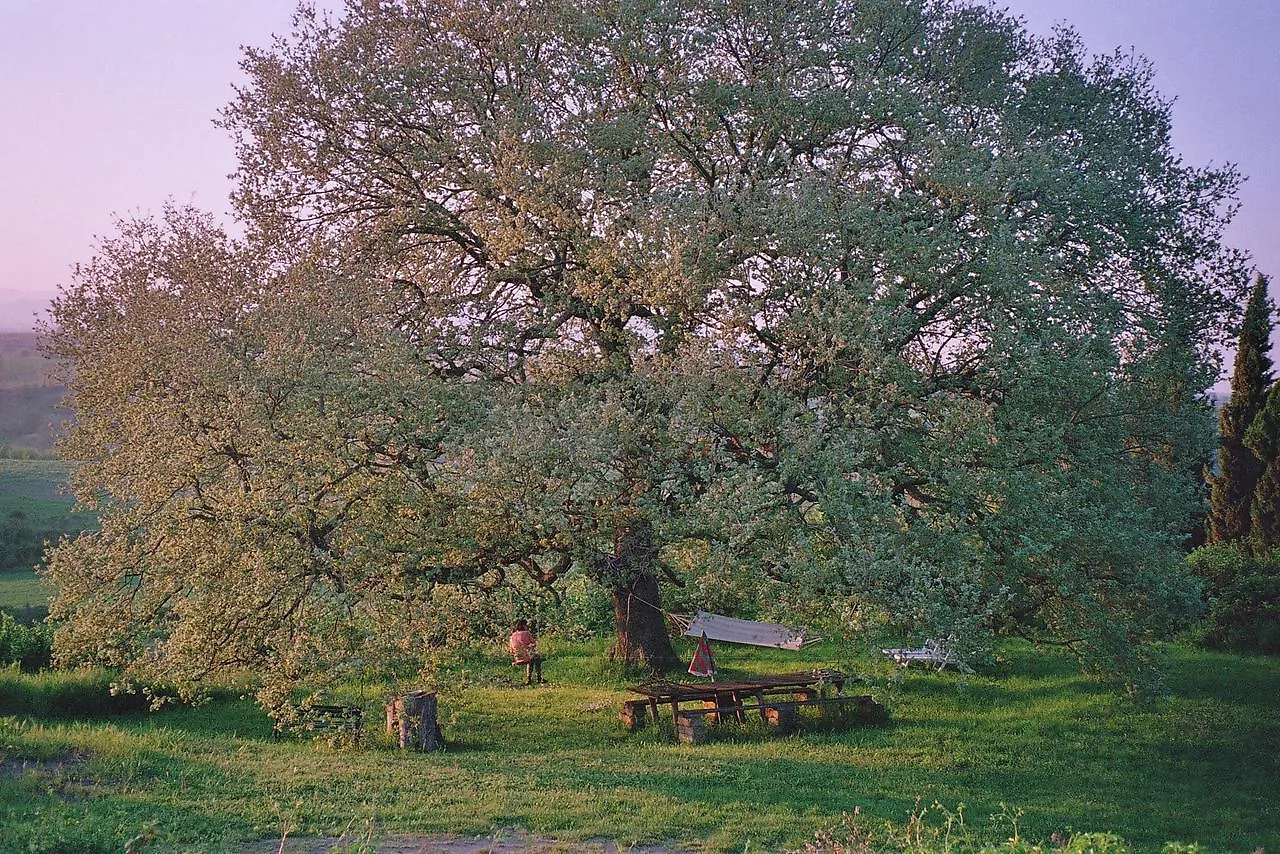 Farm stay Poggio Del Castagno Villa Pitigliano